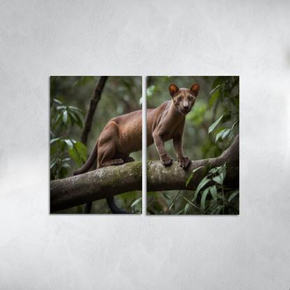 The Unique Fossa In Madagascar's Forests Framed Paintings