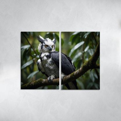 The Regal Harpy Eagle The Forest Monarch Custom Paintings Frame