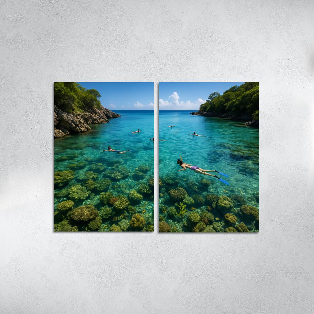 Crystal Bay Snorkeling Sanctuary Custom Paintings Frame