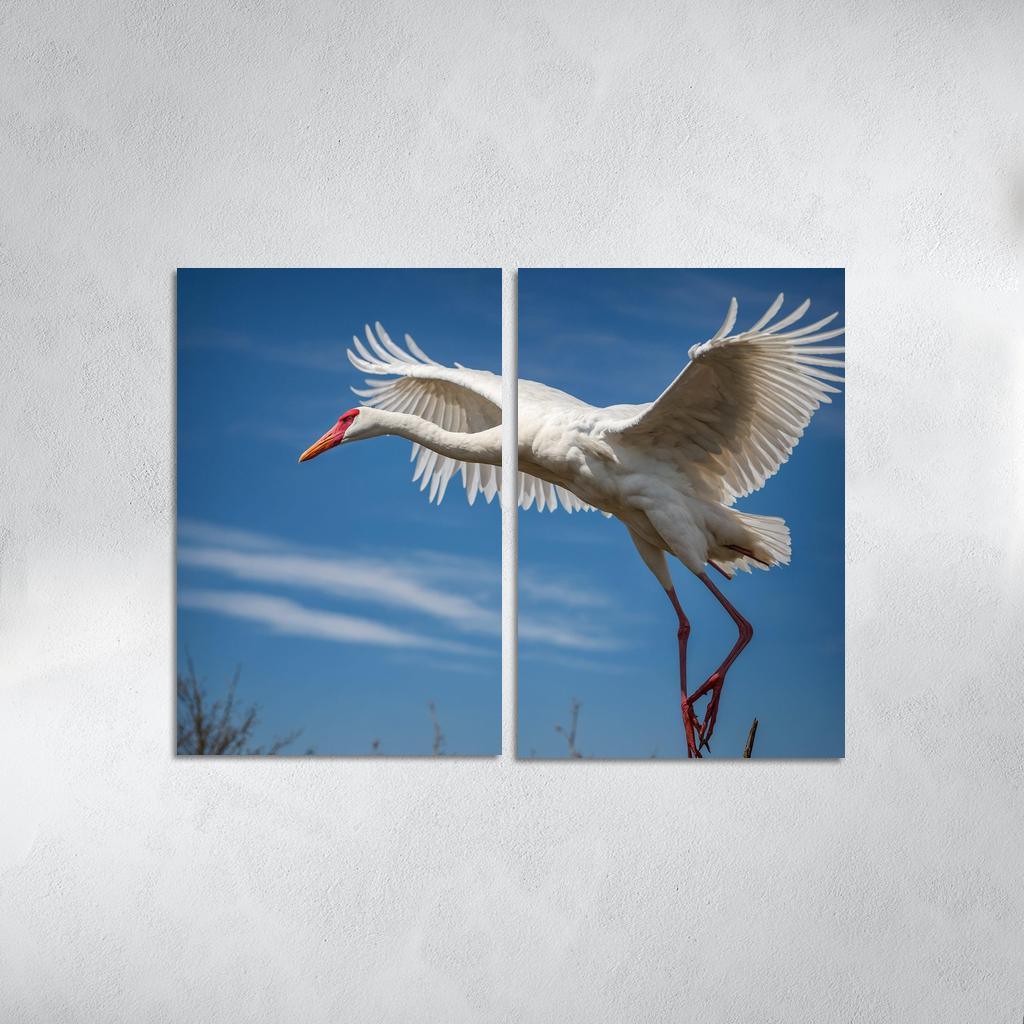 The Majestic Siberian Crane Harbingers Of Change Canvas Paintings Frame