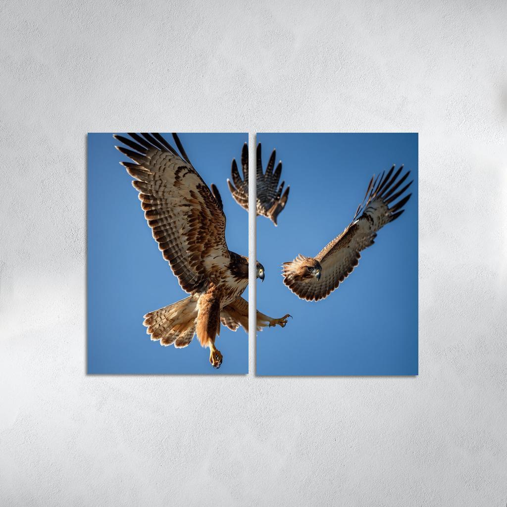 The Graceful Red-tailed Hawk Icon Of The Open Sky Modern Paintings Frame