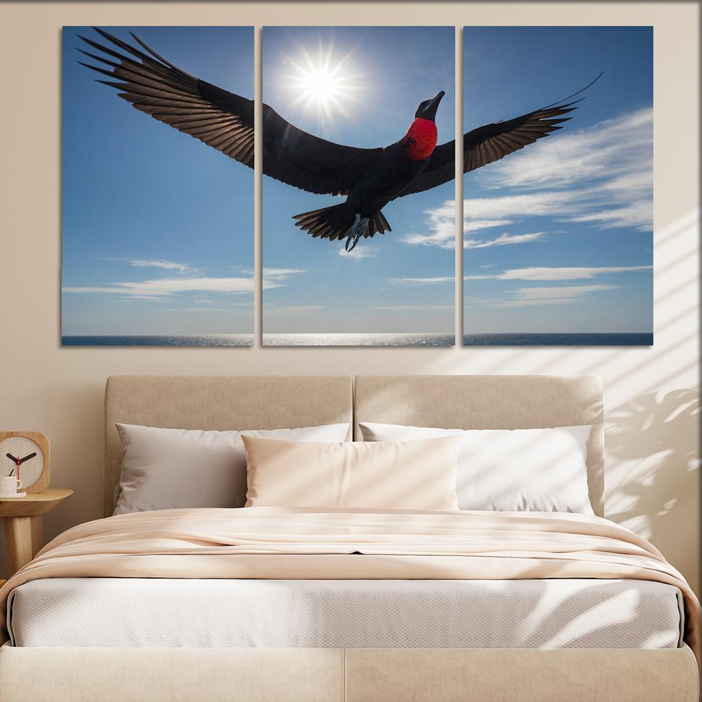 The Majestic Frigatebird The Master Of The Skies Framed Paintings
