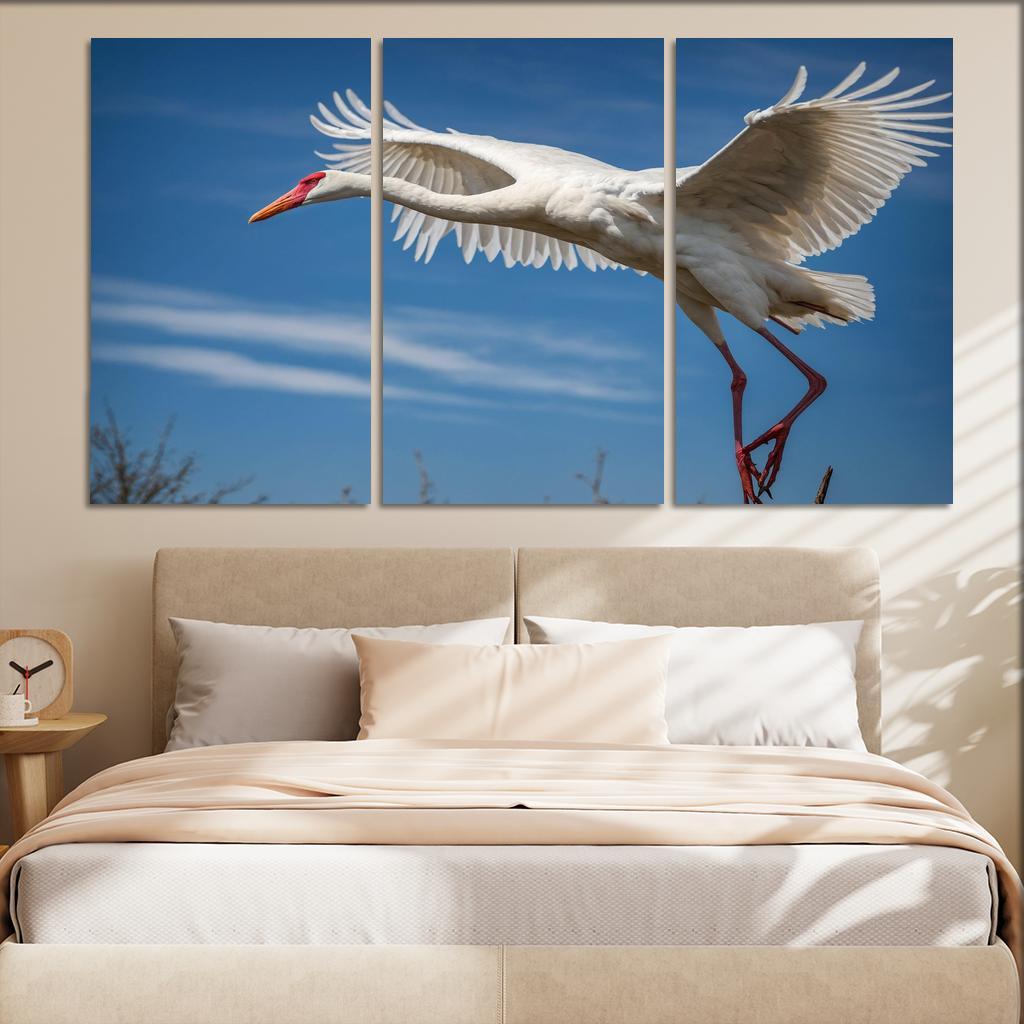 The Majestic Siberian Crane Harbingers Of Change Canvas Paintings Frame