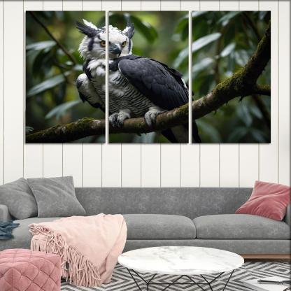 The Regal Harpy Eagle The Forest Monarch Custom Paintings Frame