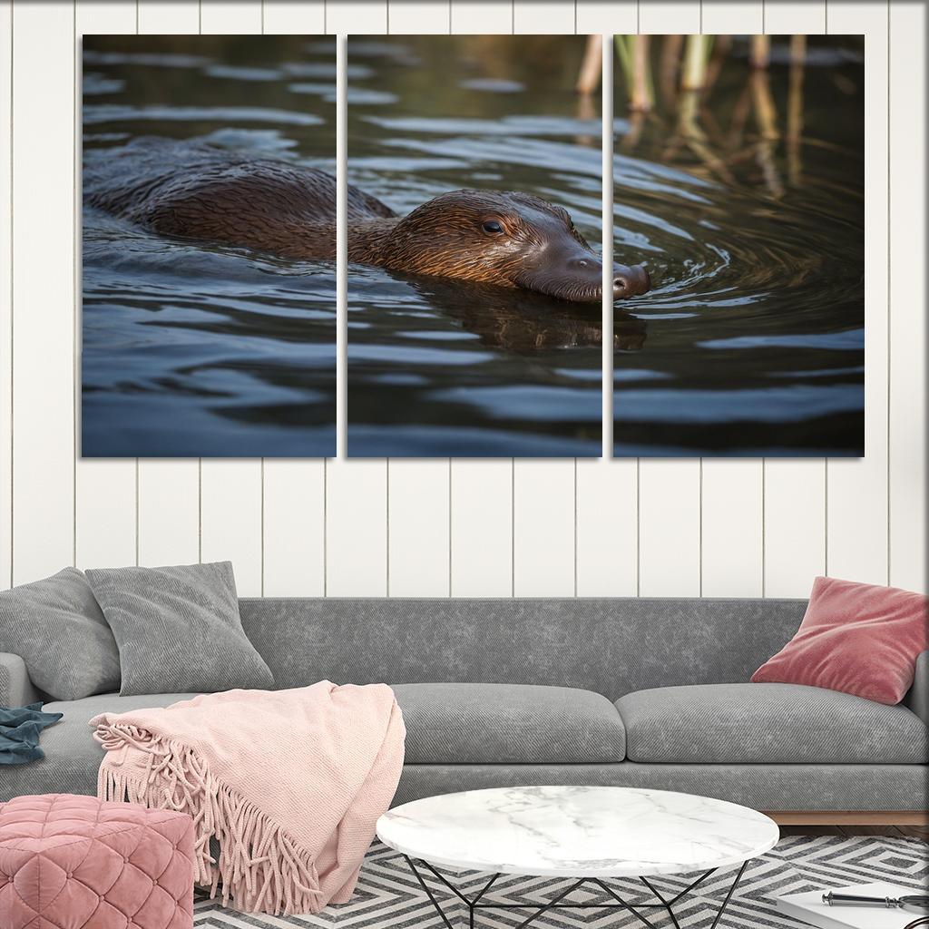 The Unique Platypus Nature's Oddity Canvas Paintings Frame