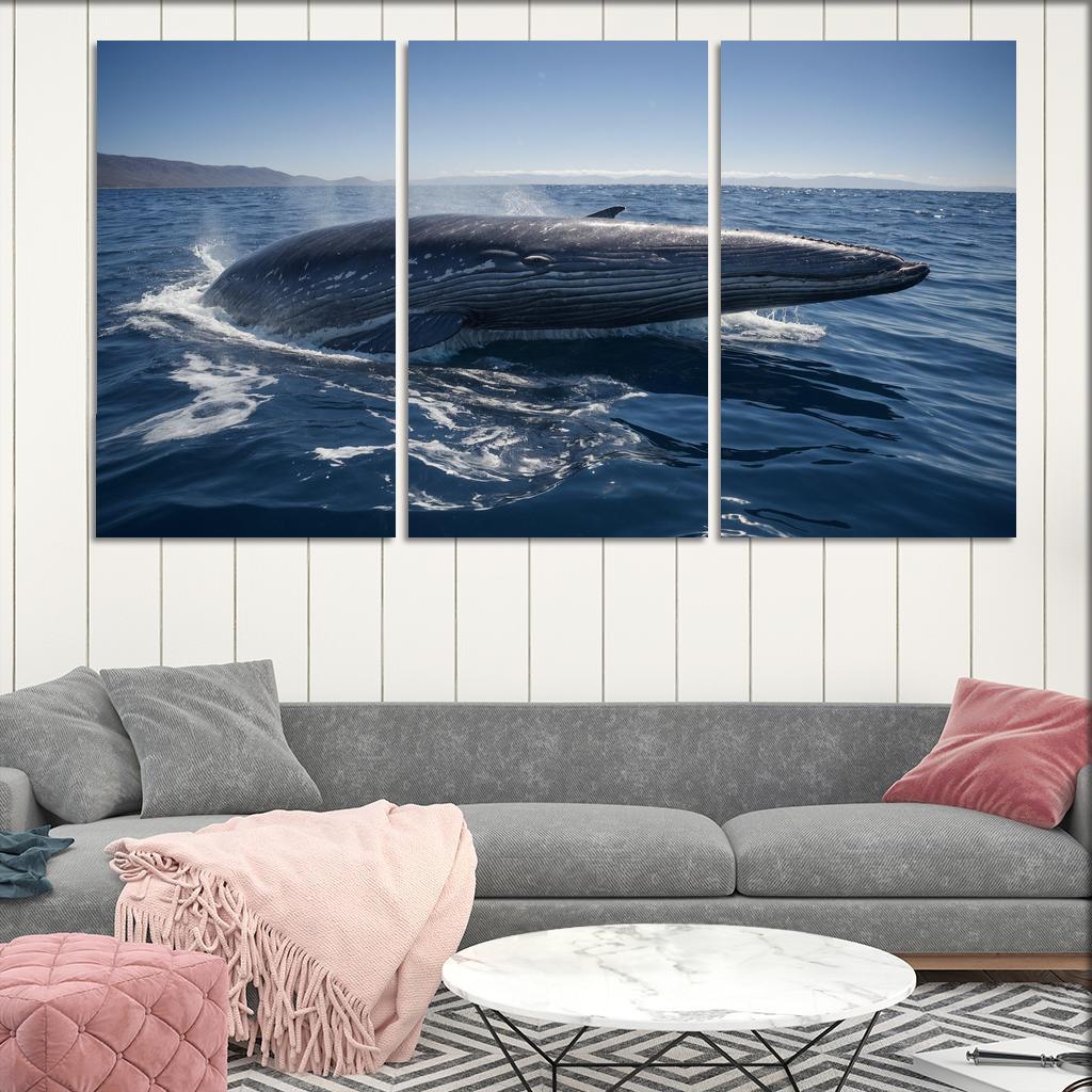 The Enigmatic Blue Whale The Largest Creature On Earth Custom Paintings Frame