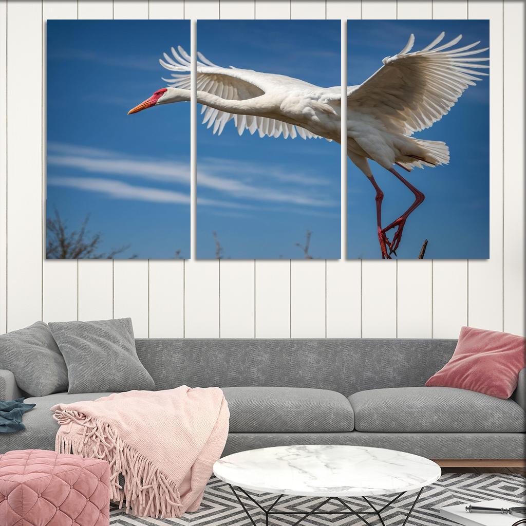 The Majestic Siberian Crane Harbingers Of Change Canvas Paintings Frame