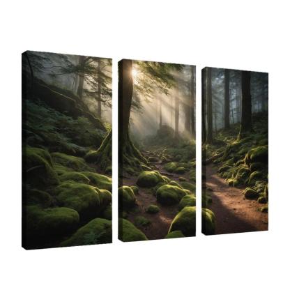 Ethereal Glow Of Misty Forest Trails Art Trends