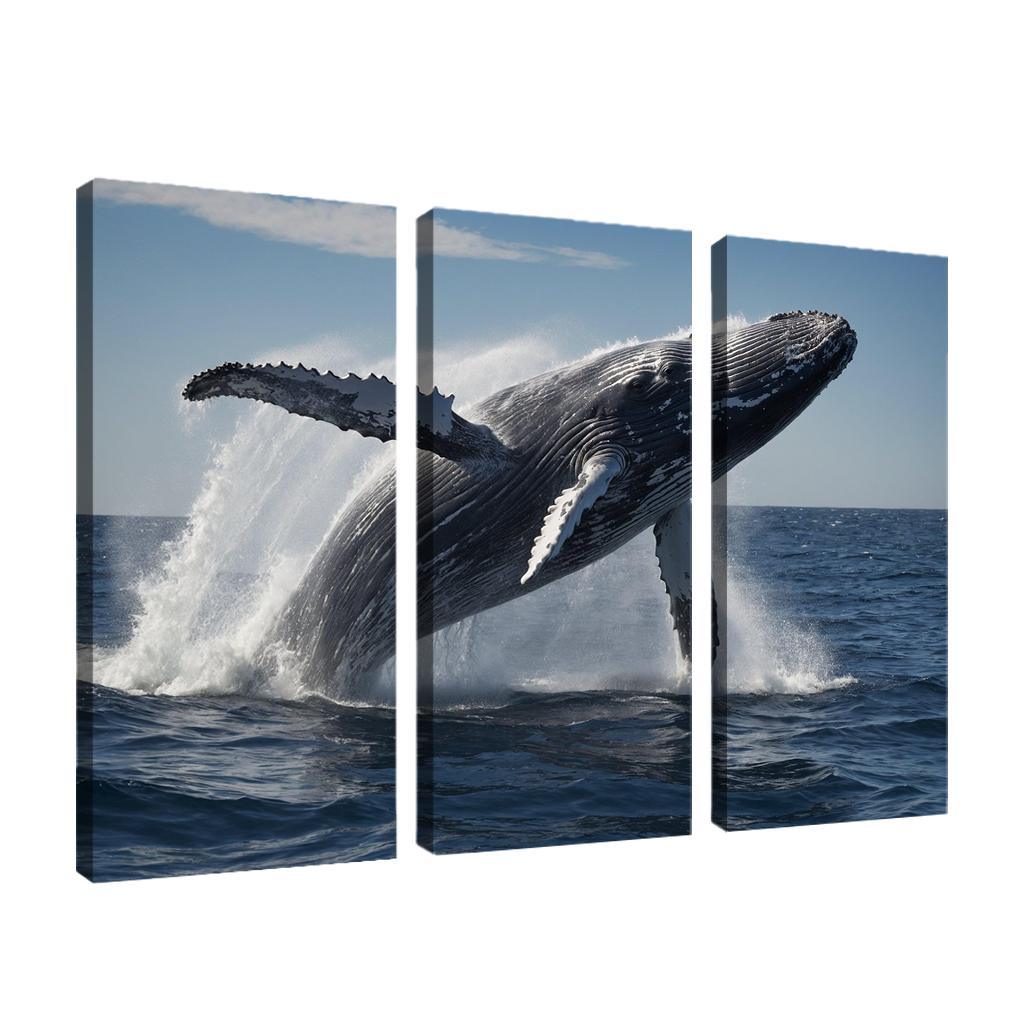 The Graceful Humpback Whale Song Of The Sea Premium Artwork Frames