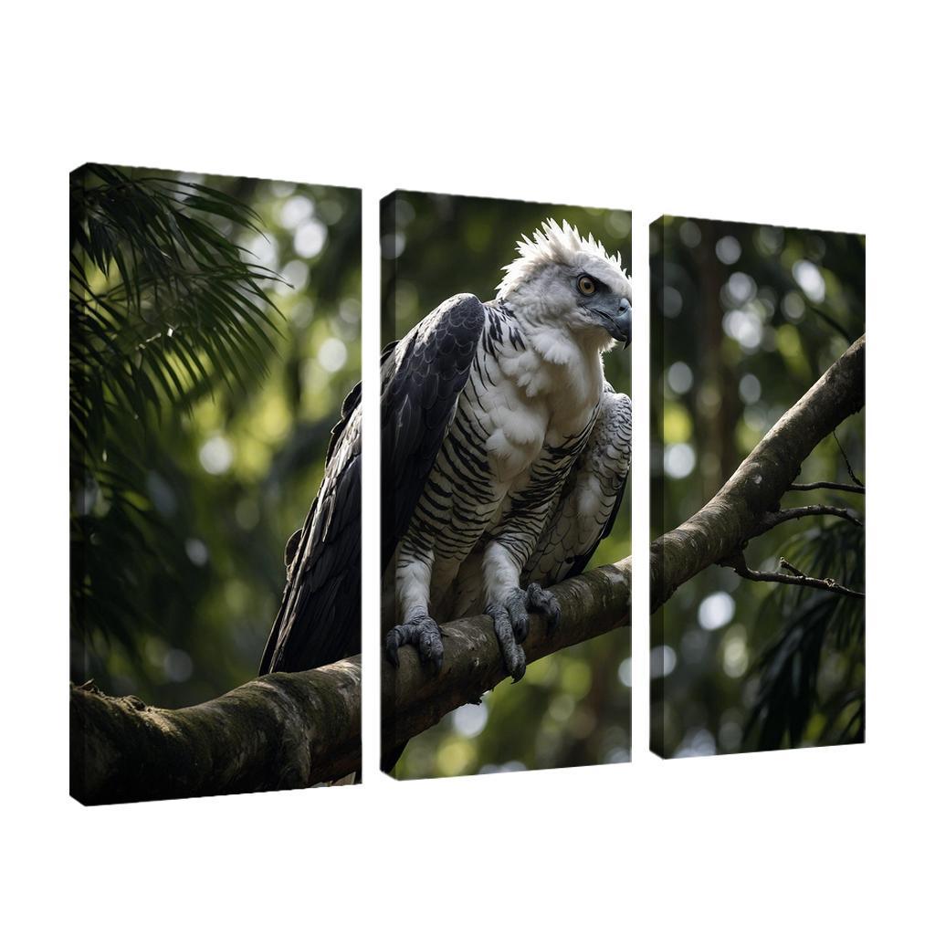 The Regal Harpy Eagle Master Of The Forest Canopy Modern Paintings Frame