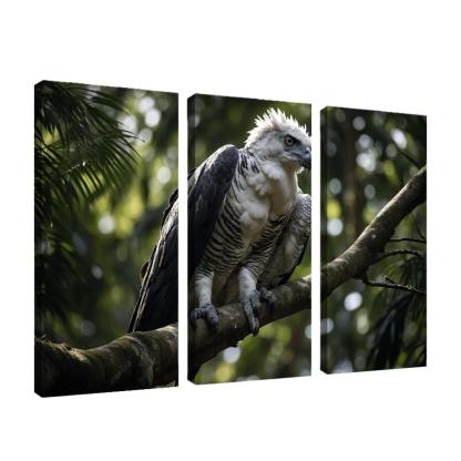 The Regal Harpy Eagle Master Of The Forest Canopy Modern Paintings Frame