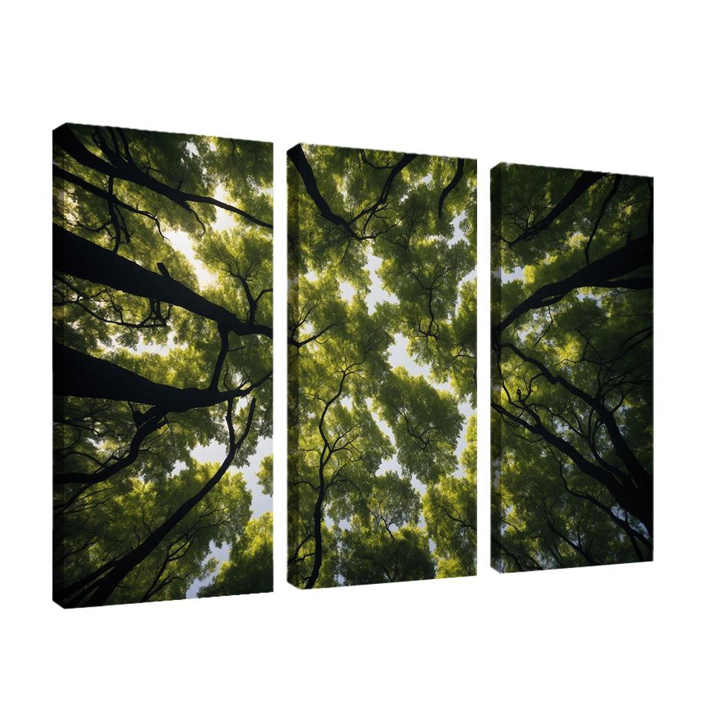 The Ethereal Splendor Of Treetop Canopies Oil Paintings Frame