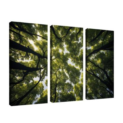 The Ethereal Splendor Of Treetop Canopies Oil Paintings Frame