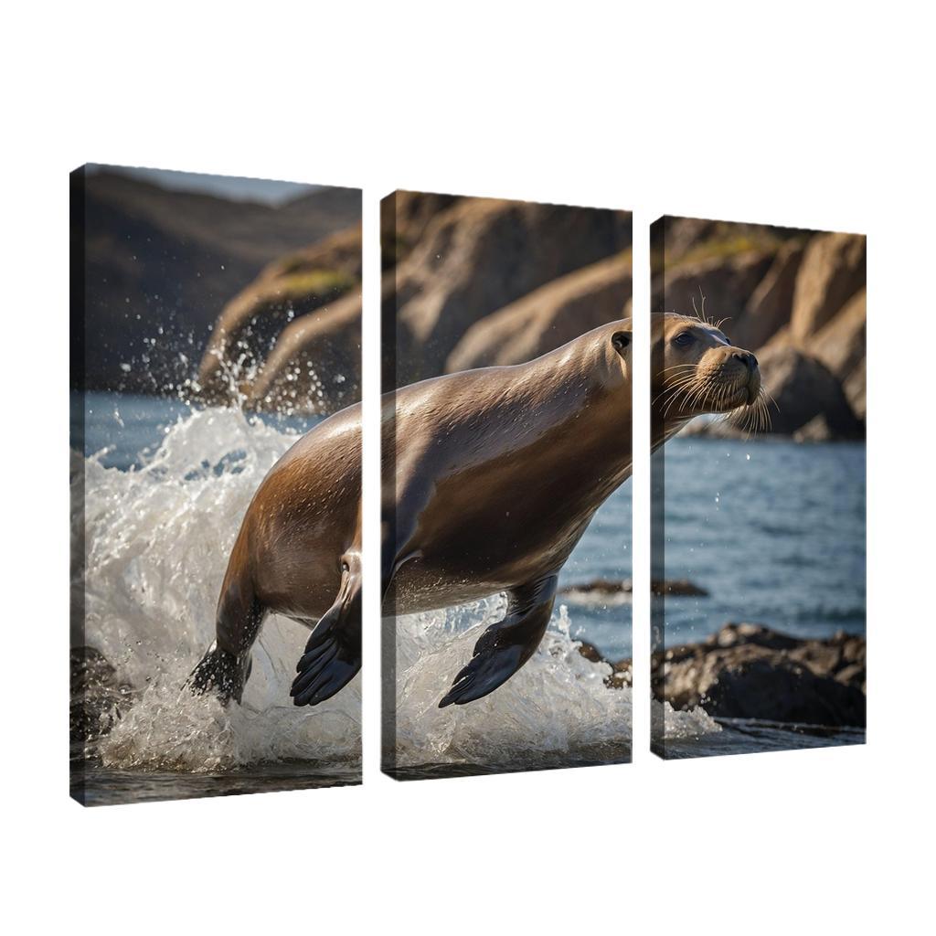 The Playful Sea Lion At A Coastal Colony Framed Paintings