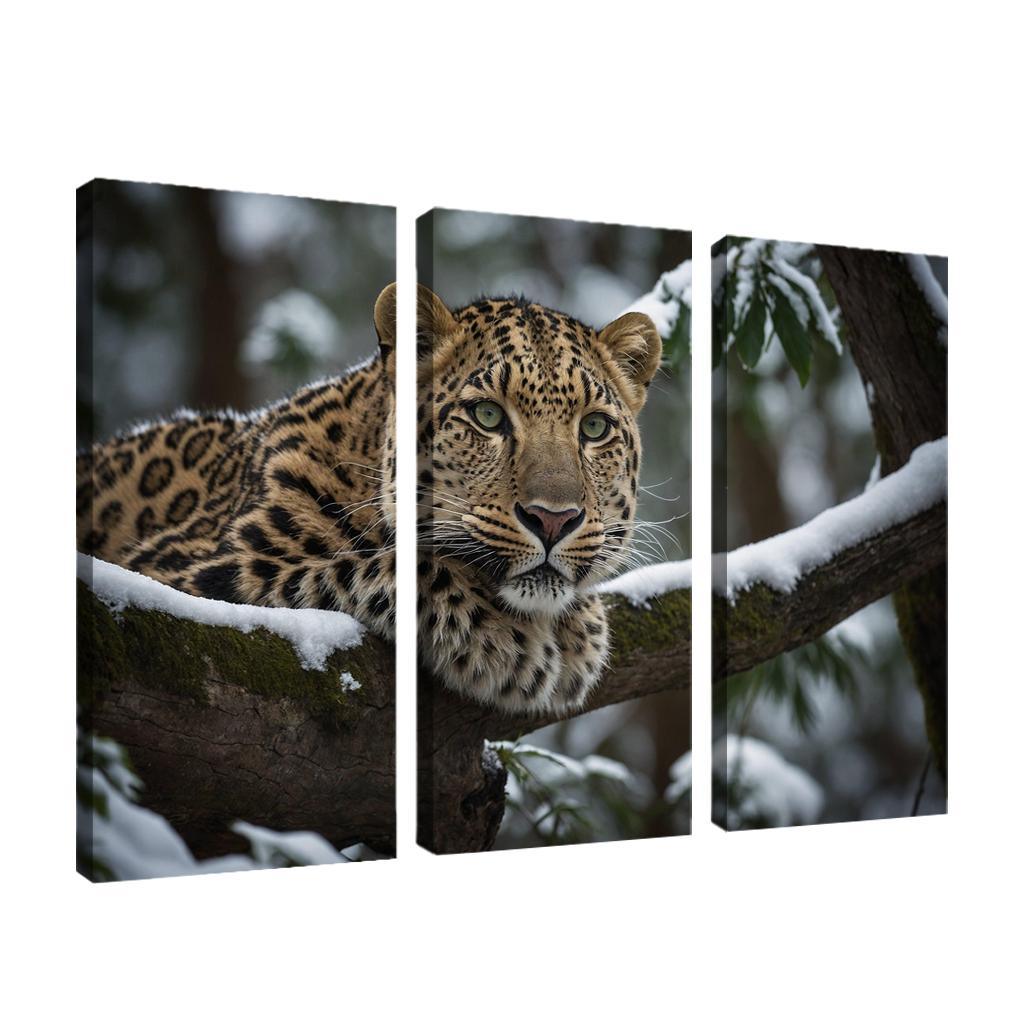 The Magnificent Amur Leopard Ghost Of The Forest Canvas Paintings Frame
