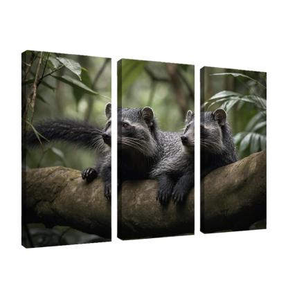 The Charming Binturong The Bearcat Of The Rainforest Canvas Paintings Frame