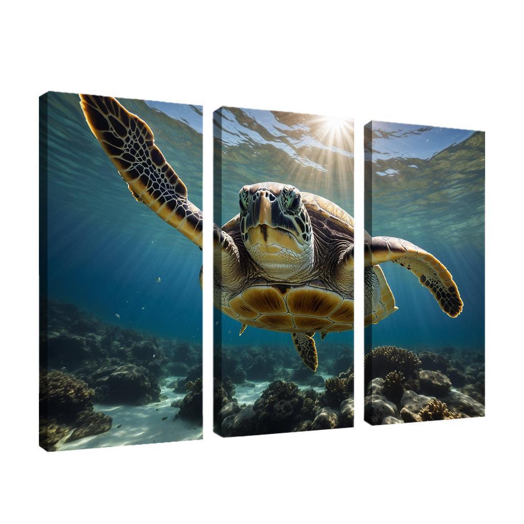 The Stunning Green Sea Turtle In Tropical Waters Canvas Paintings Frame