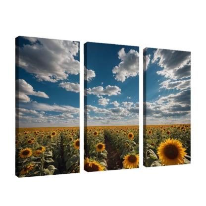 The Radiant Fields Of Golden Sunflowers Oil Paintings Frame