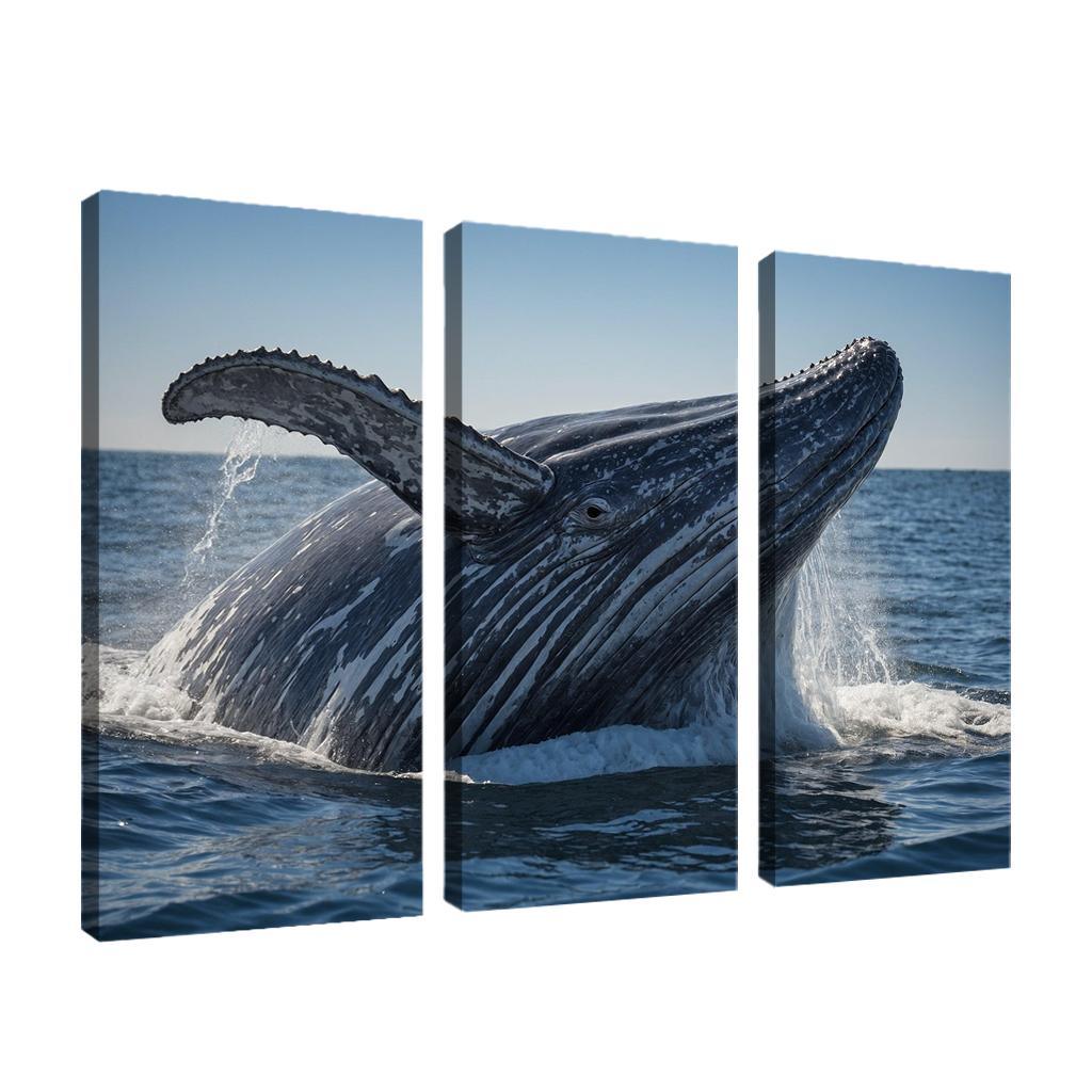 The Majestic Grey Whale Gentle Giant Of The Ocean Modern Paintings Frame