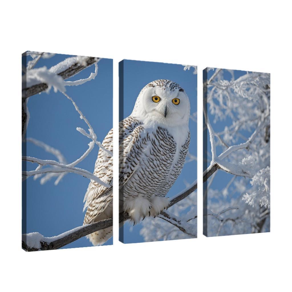 The Enchanting Snowy Owl In The Arctic Canvas Paintings Frame