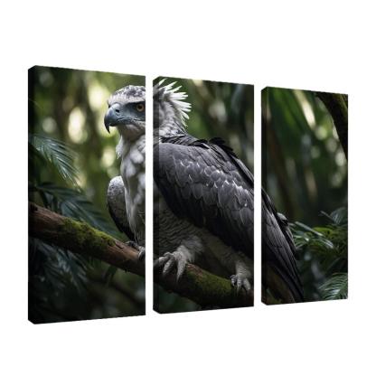 The Enchanting Harpy Eagle Ruler Of The Rainforest Canvas Paintings Frame