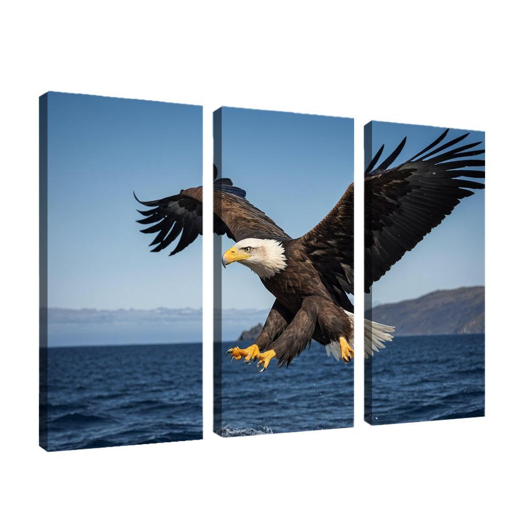 The Majestic Steller's Sea Eagle By The Sea Framed Paintings
