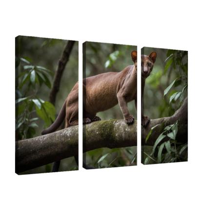 The Unique Fossa In Madagascar's Forests Framed Paintings
