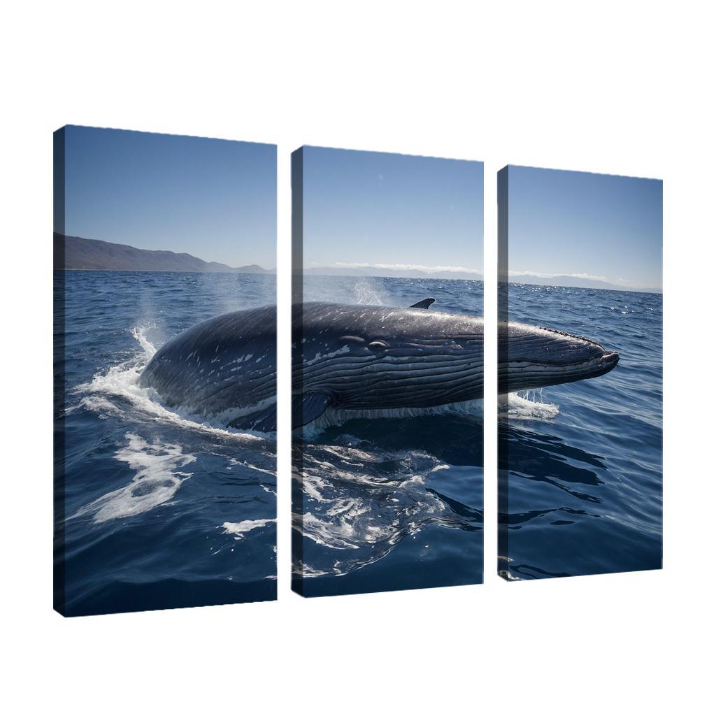 The Enigmatic Blue Whale The Largest Creature On Earth Custom Paintings Frame