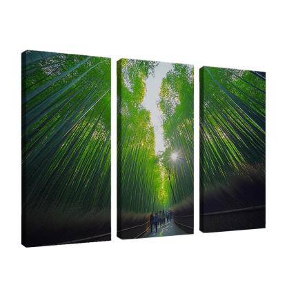 Bamboo Forest One-piece Frames