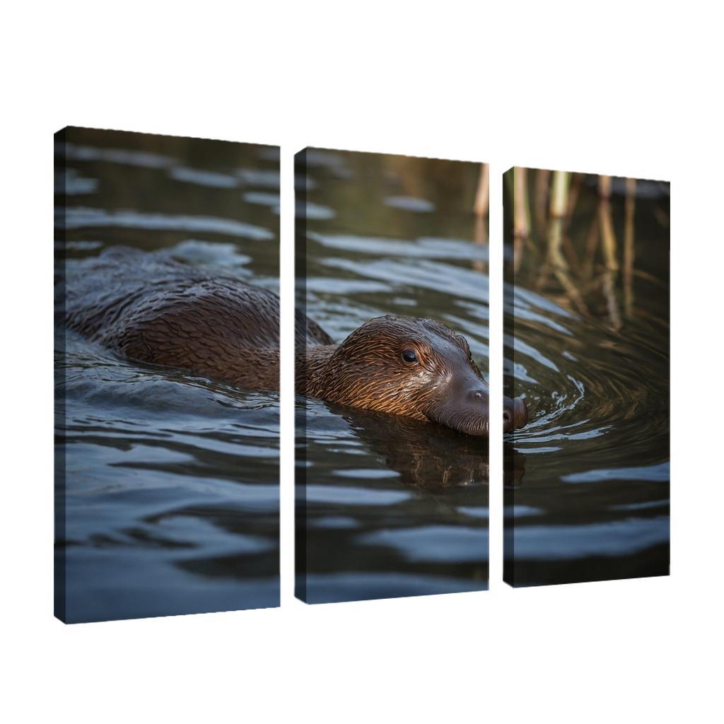 The Unique Platypus Nature's Oddity Canvas Paintings Frame