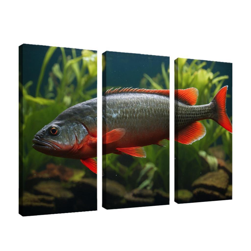 The Endearing Red-bellied Piranha In Freshwater Framed Paintings