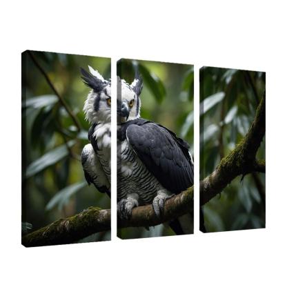 The Regal Harpy Eagle The Forest Monarch Custom Paintings Frame