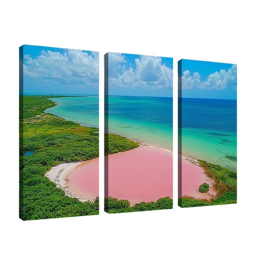 Lake Hillier Abstract Paintings Frame