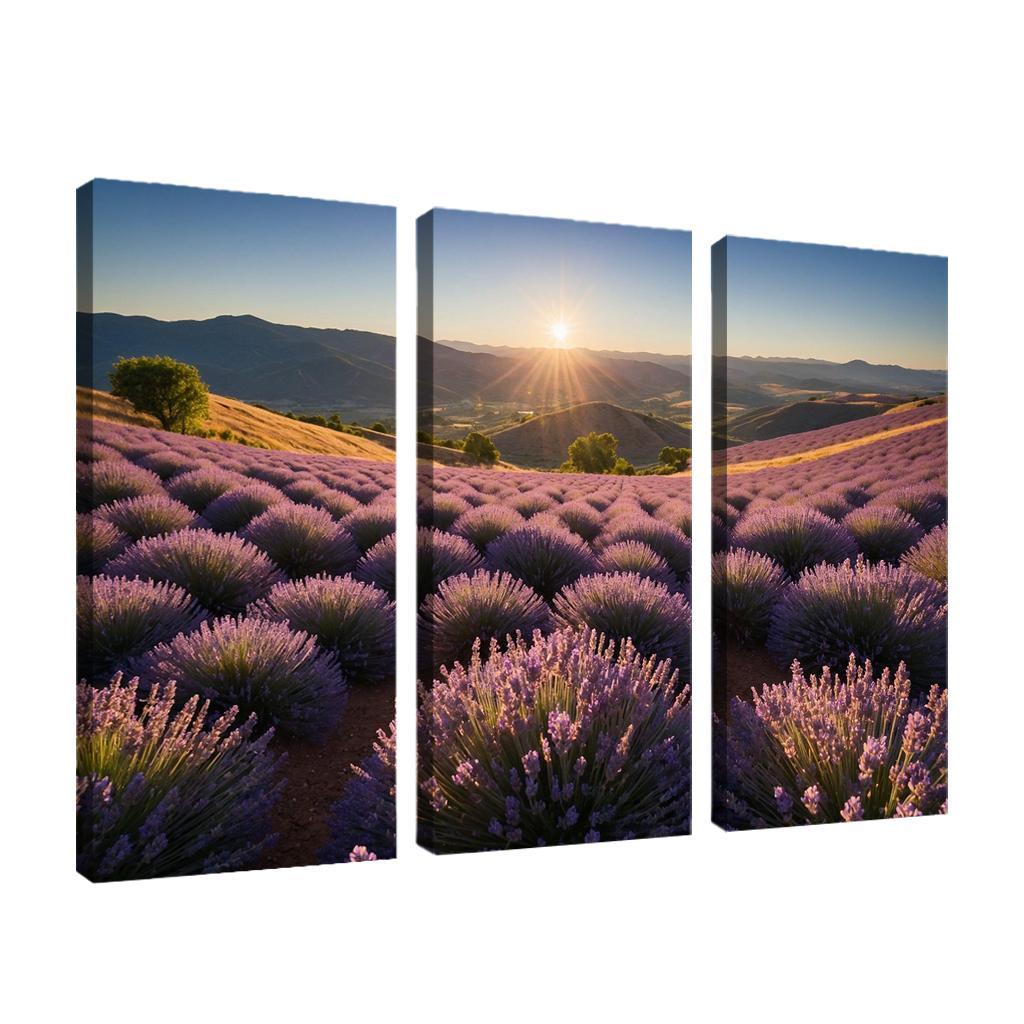 The Serene Valley Of Lavender Blooms Multi-panel Paintings