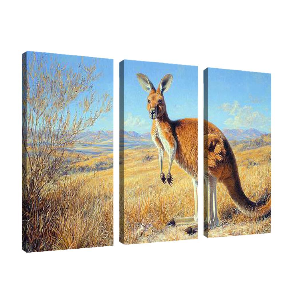 The Majestic Red Kangaroo The Australian Icon Art Trends