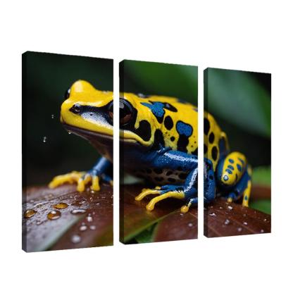 The Colorful Poison Dart Frog Jewel Of The Tropics Modern Paintings Frame