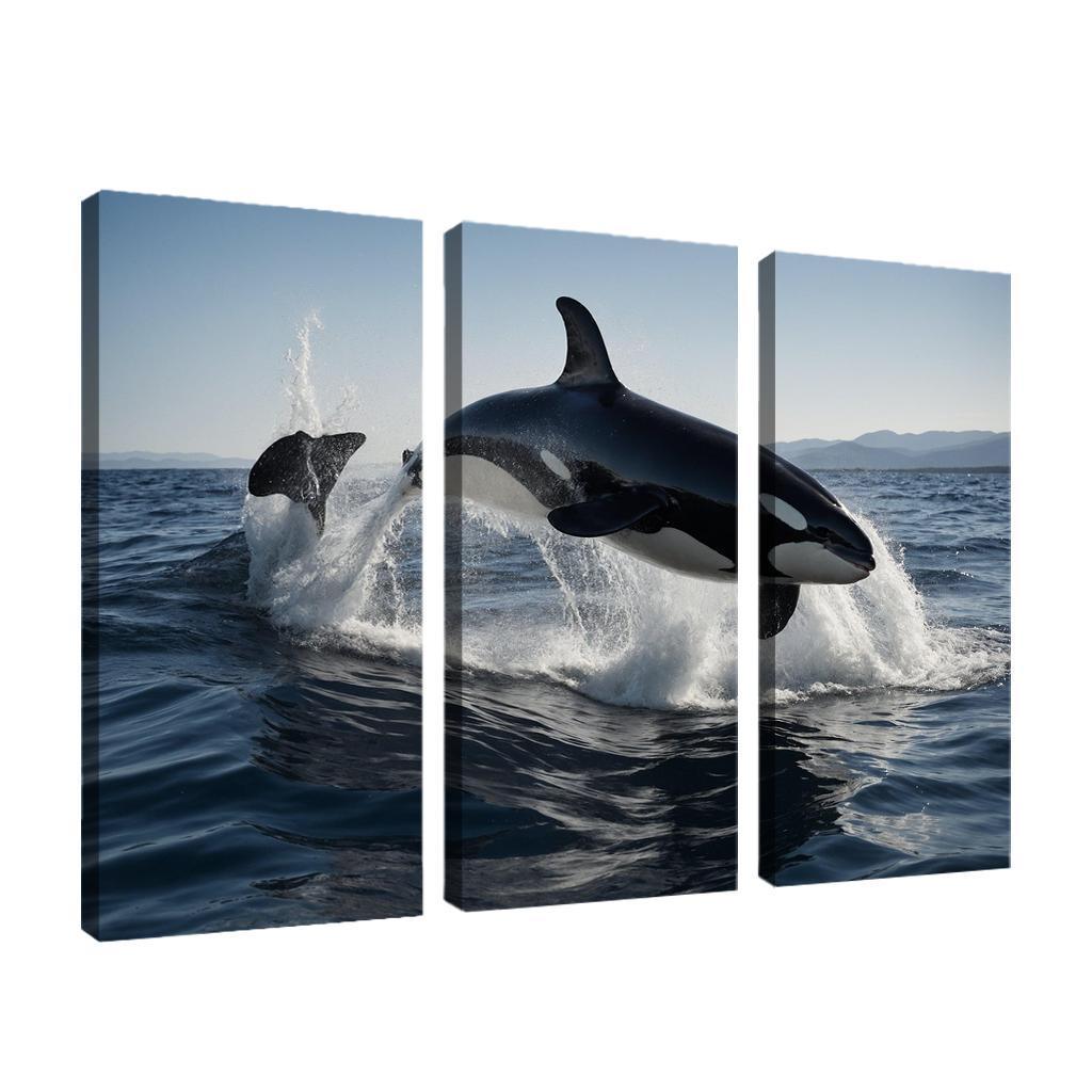 The Magnificent Orca In The Deep Ocean Framed Paintings