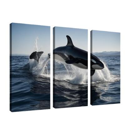 The Magnificent Orca In The Deep Ocean Framed Paintings