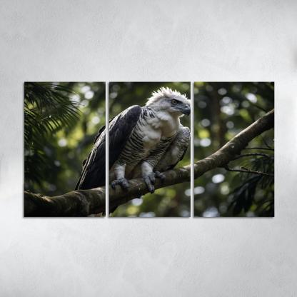 The Regal Harpy Eagle Master Of The Forest Canopy Modern Paintings Frame