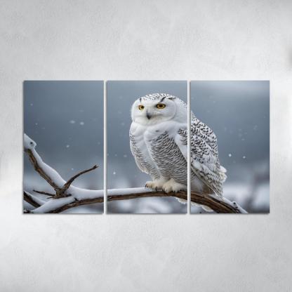 The Graceful Snowy Owl In The Arctic Framed Paintings