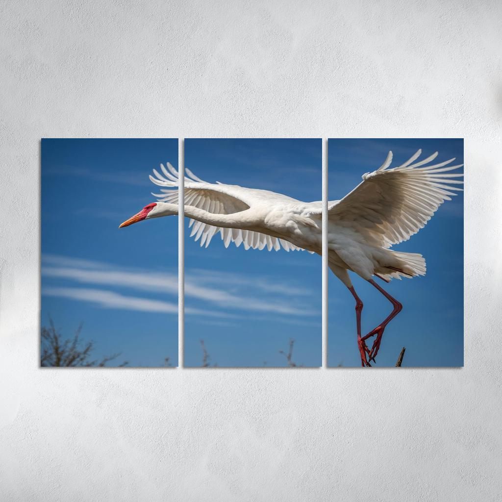 The Majestic Siberian Crane Harbingers Of Change Canvas Paintings Frame