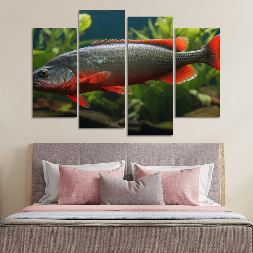 The Endearing Red-bellied Piranha In Freshwater Framed Paintings