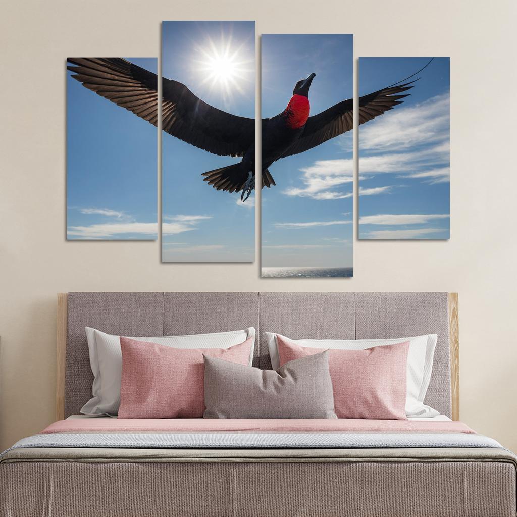 The Majestic Frigatebird The Master Of The Skies Framed Paintings