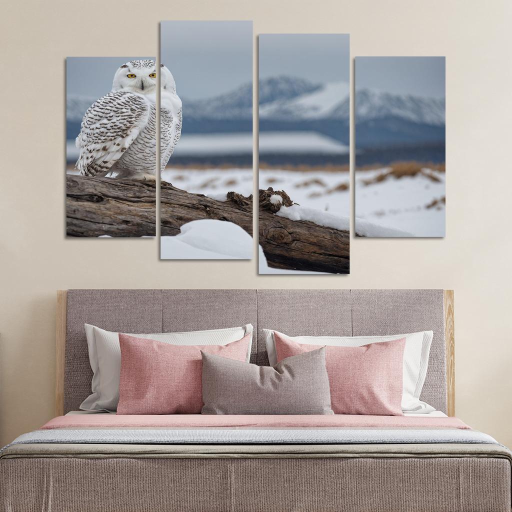 The Regal Snowy Owl Multi-panel Paintings