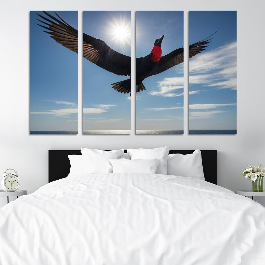 The Majestic Frigatebird The Master Of The Skies Framed Paintings