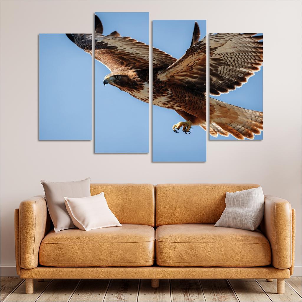 The Agile Red-tailed Hawk In Flight Framed Paintings