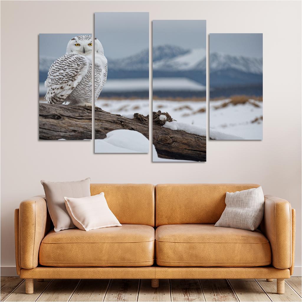 The Regal Snowy Owl Multi-panel Paintings