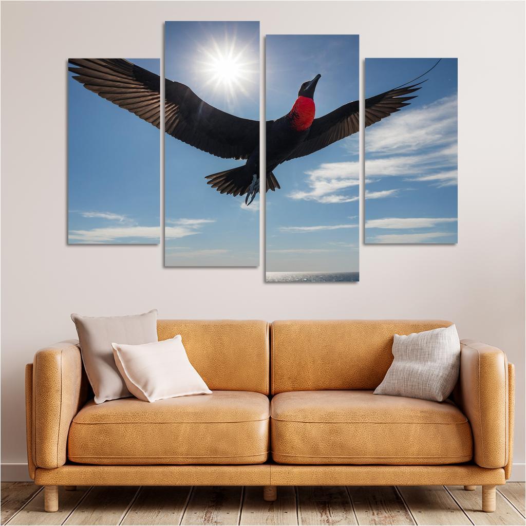 The Majestic Frigatebird The Master Of The Skies Framed Paintings