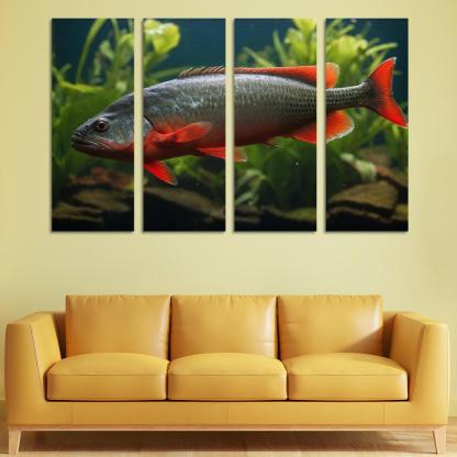 The Endearing Red-bellied Piranha In Freshwater Framed Paintings