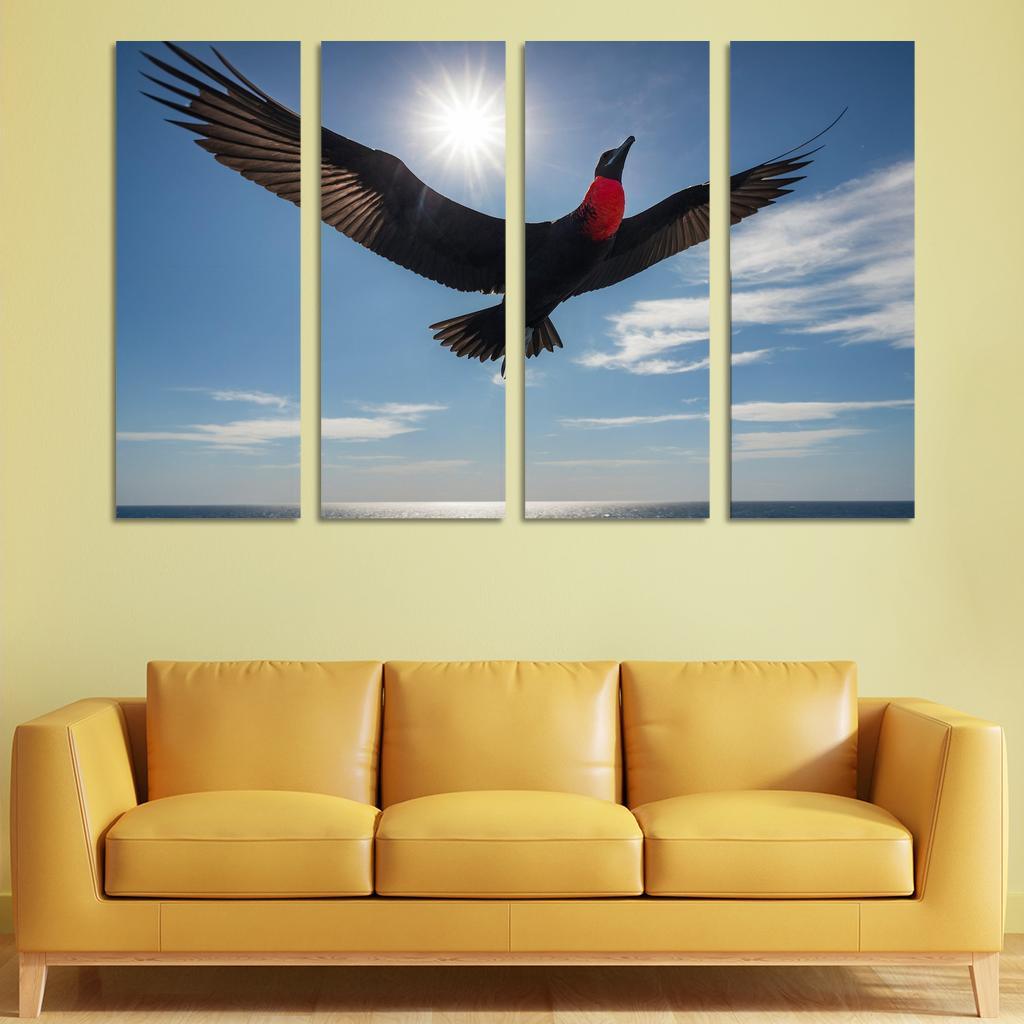 The Majestic Frigatebird The Master Of The Skies Framed Paintings